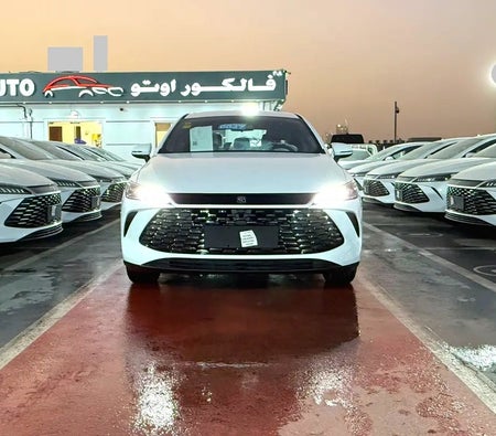 أبيض بي واي دي تشين بلس 2025 أبيض بي واي دي تشين بلس 2025