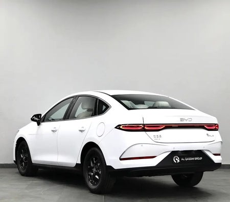 BYD QIN Plus 2025, photo 4 of 4