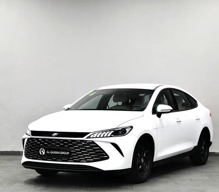 BYD QIN Plus 2025, photo 2 of 4