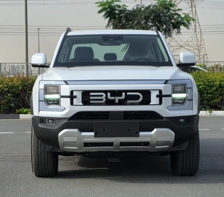 بي واي دي شارك 6 2027, photo 3 of 4