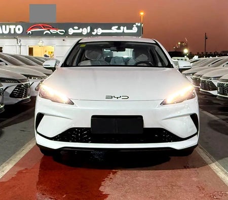 أبيض بي واي دي سيل 05 2025 أبيض بي واي دي سيل 05 2025