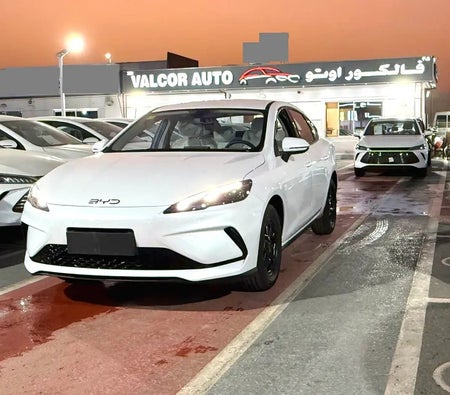 أبيض بي واي دي سيل 05 2025