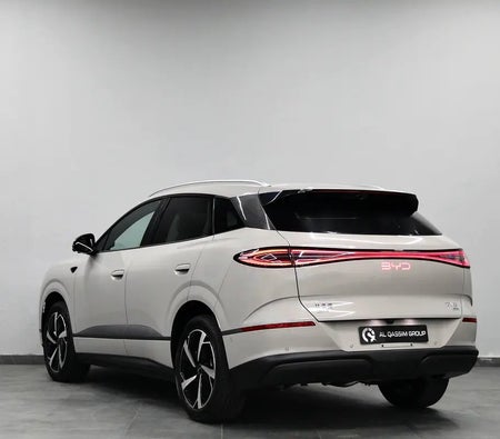 BYD Sealion 6 2025, photo 4 of 4