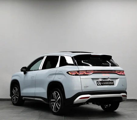 BYD Song L 2025, photo 4 of 4