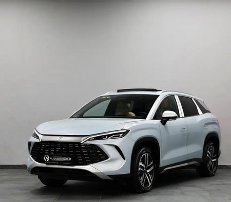 BYD Song L 2025, photo 3 of 4