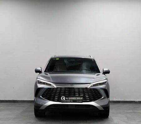 BYD Song L 2025, photo 2 of 4