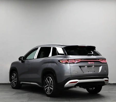 BYD Song L 2025, photo 4 of 4