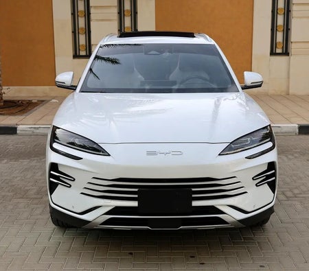 BYD Song Plus PREMIUM 2026, photo 2 of 4