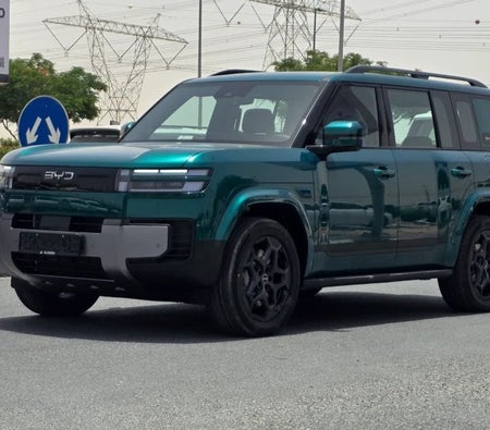 BYD Ti 7 2027, photo 4 of 4