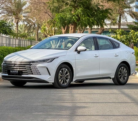 BYD Destroyer 05 55 Luxury Edition 2025, photo 3 of 4