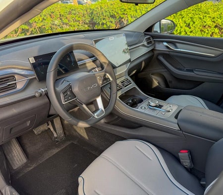 BYD Destroyer 05 55 Luxury Edition 2025, photo 4 of 4