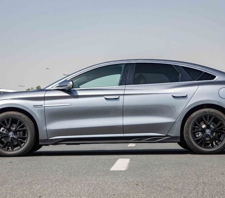 Grau BYD HAN 2025