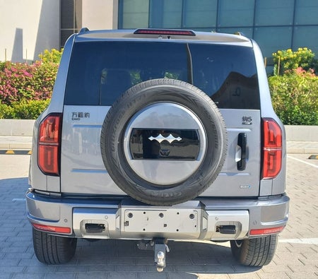 Silver BYD Leopard 5 2025