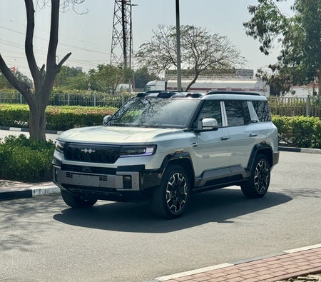 BYD Leopard 8 Flagship 2025, photo 3 of 4