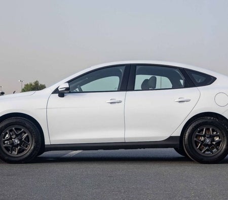 Blanc BYD QIN Plus 2025