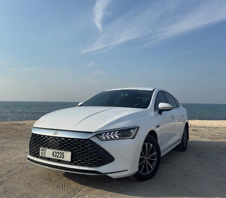 BYD QIN Plus 2023