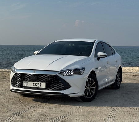 BYD QIN Plus 2023