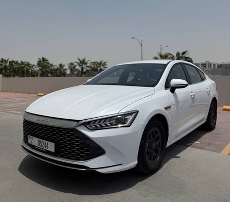 Dark Gray BYD QIN Plus 2026