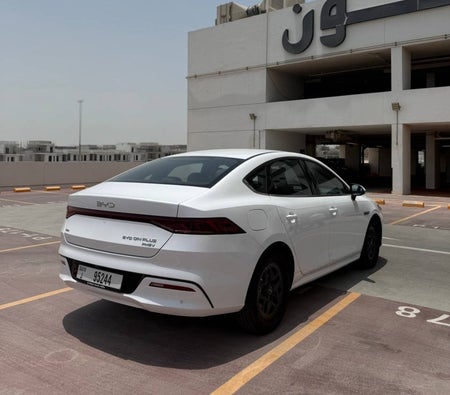 Dark Gray BYD QIN Plus 2026