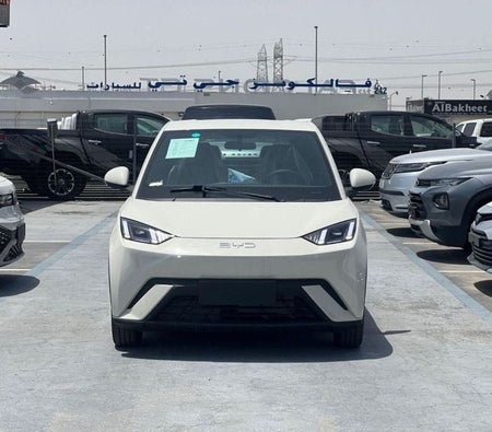 BYD Seagull 2025, photo 2 of 4