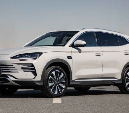 Grau BYD Song L 2025