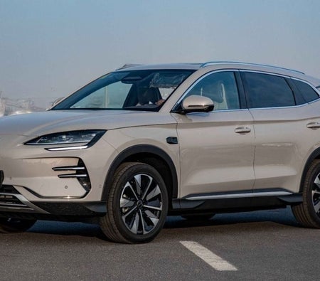 Grau BYD Song L 2025