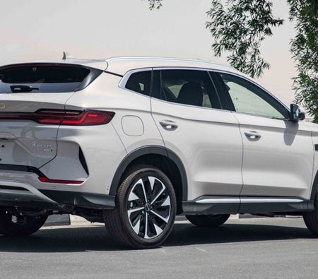 Grigio BYD Song L 2025