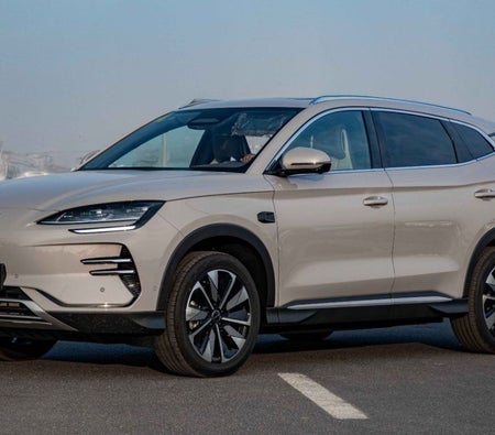 Серый BYD Song L 2025 год