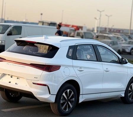 BYD e2 2025, photo 4 of 4