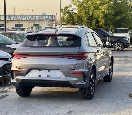 رمادي بي واي دي إي 2 2025