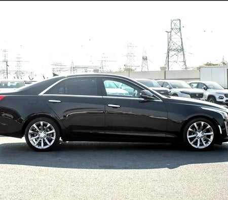 Cadillac CTS Catera 2019, photo 4 of 4