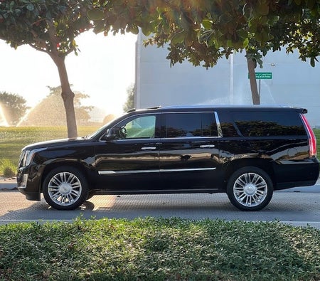 Cadillac Escalade Platinum 2018, photo 4 of 4