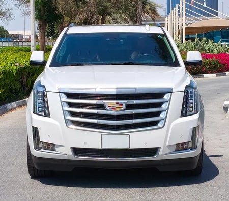 White Cadillac Escalade Luxury 2020