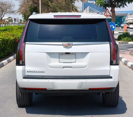 White Cadillac Escalade Luxury 2020
