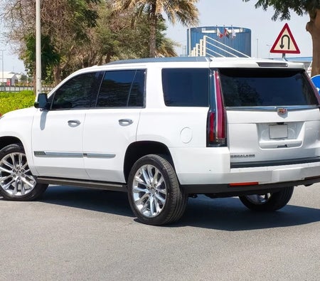 White Cadillac Escalade Luxury 2020