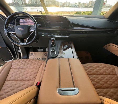 White Cadillac Escalade 2022