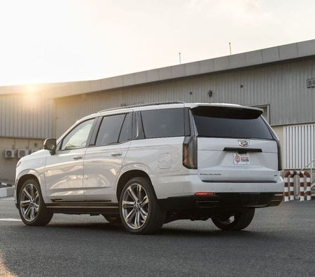 White Cadillac Escalade 2025