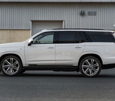 White Cadillac Escalade 2025