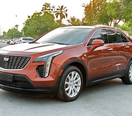 Cadillac XT4 Premium Luxury 2019, photo 2 of 4
