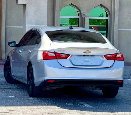 فضي شيفروليه Malibu LS 2019 فضي شيفروليه Malibu LS 2019