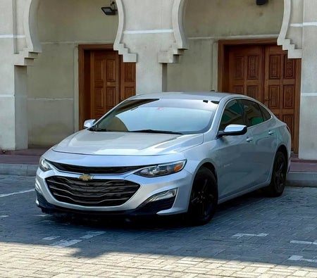 فضي شيفروليه Malibu LS 2019