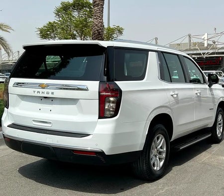 Chevrolet Tahoe LS 2024, photo 3 of 4