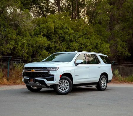 Chevrolet Tahoe LS 2024, photo 1 of 4