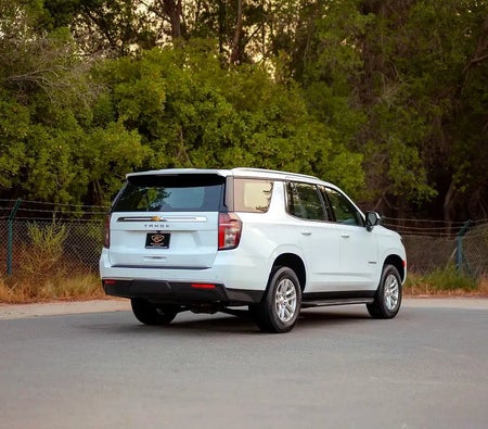 Chevrolet Tahoe LS 2024, photo 4 of 4
