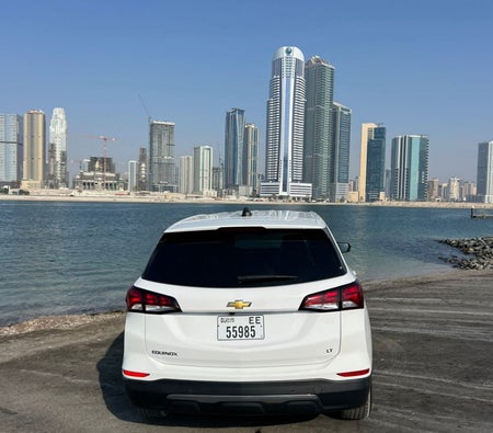 Chevrolet Equinox 2024