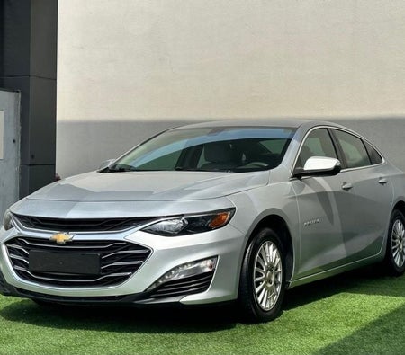 Chevrolet Malibu 2020, photo 3 of 4