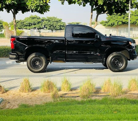 Chevrolet Silverado 1500 LT Trail Boss 2022, photo 4 of 4