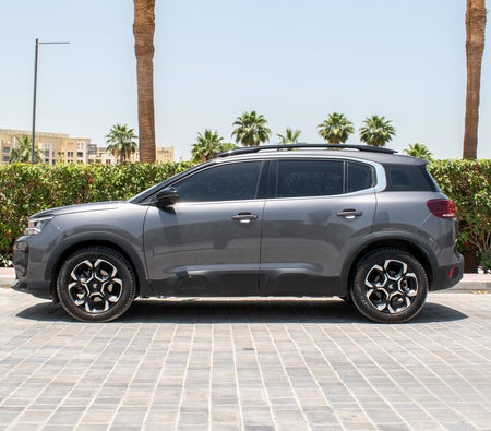 Gray Citroen C5 2025