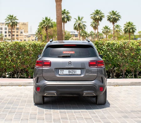 Gray Citroen C5 2025