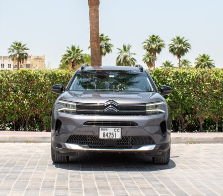 Gray Citroen C5 2025